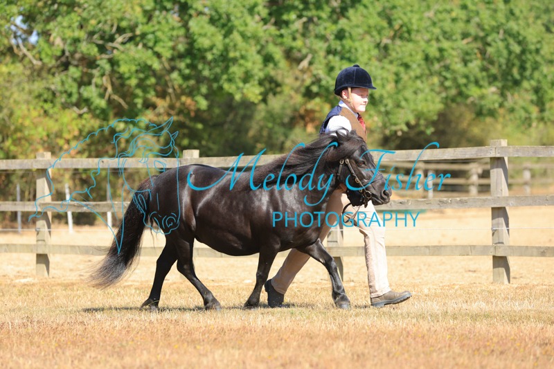 CG1_0633