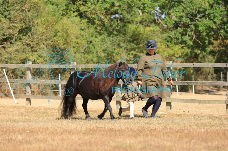 CG1_0661