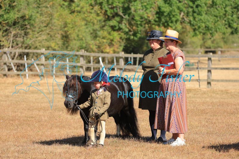 CG1_0774