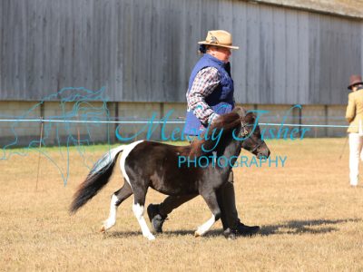 CG1_0027