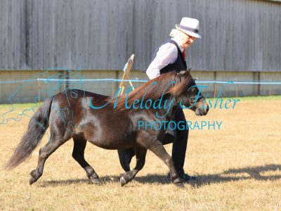 CG1_0037