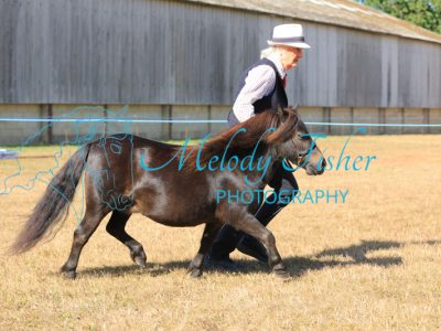 CG1_0039