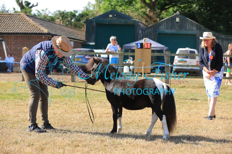 CG1_0076