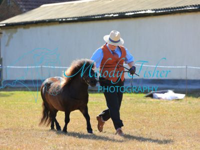 CG1_0328