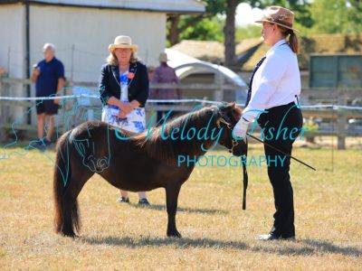CG1_0443