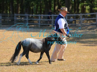 CG1_0761