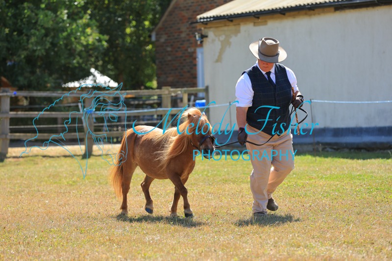 CG1_1484