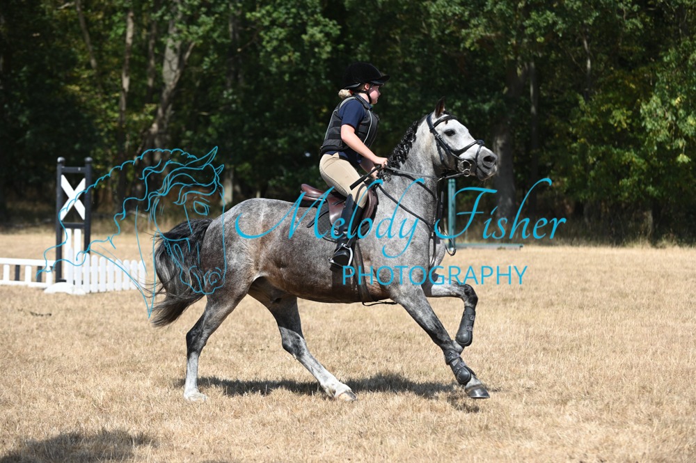 MFP_6946