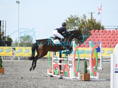 MFP_7229