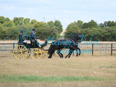 MFP_7769