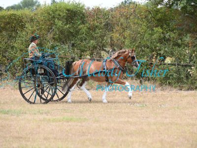 MFP_7548