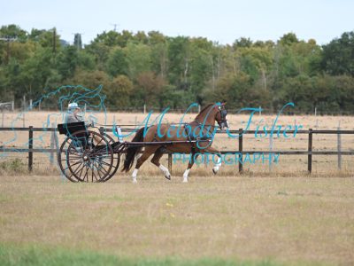 MFP_7491