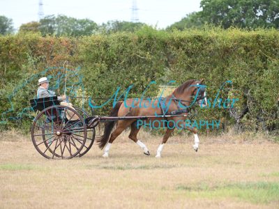 MFP_7496