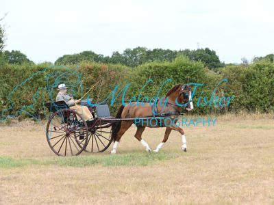 MFP_7499