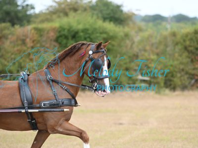 MFP_7501