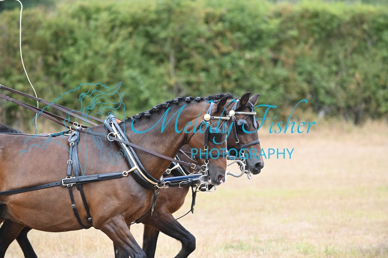 MFP_7575