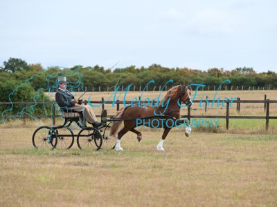 MFP_7429