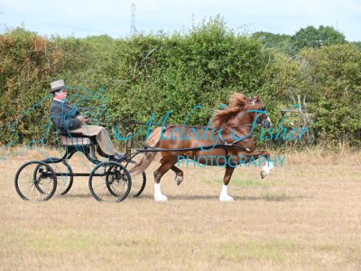 MFP_7436