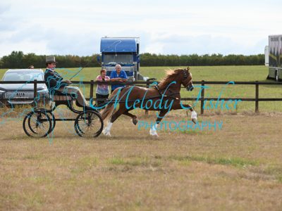 MFP_7440