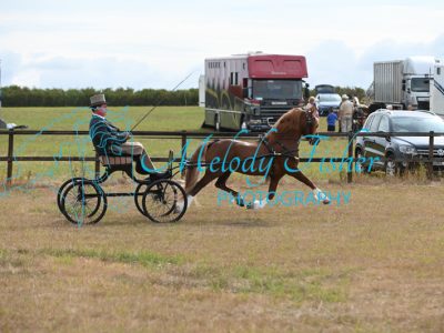 MFP_7441