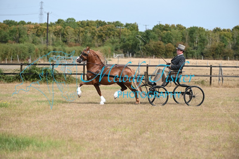 MFP_7445
