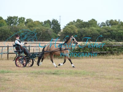 MFP_7270