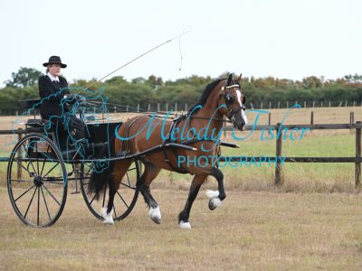MFP_7277