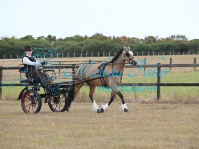 MFP_7280
