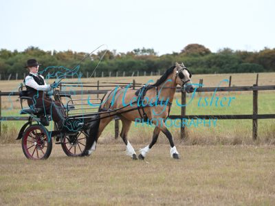 MFP_7281