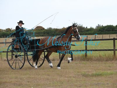 MFP_7283