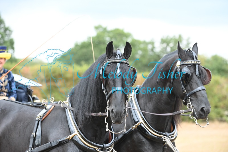 MFP_7614