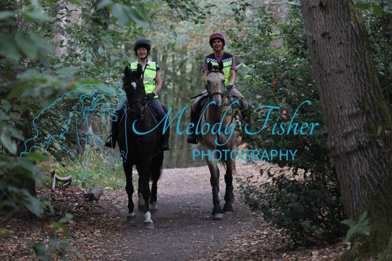 025A3219