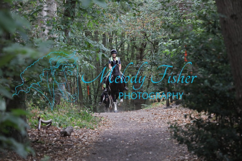 025A3317