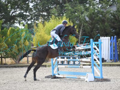 MFP_3396-1