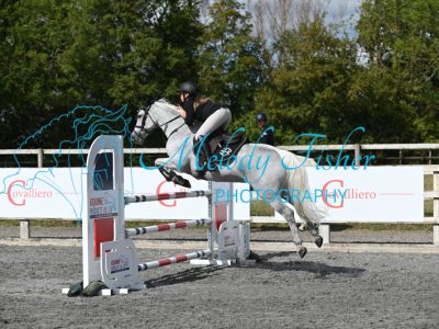 MFP_0194