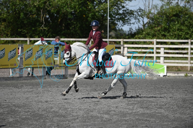 MFP_0591