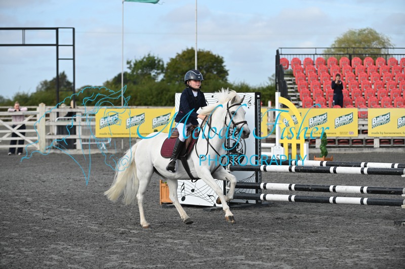 MFP_0356