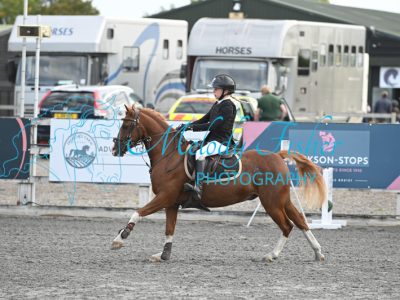 MFP_0328