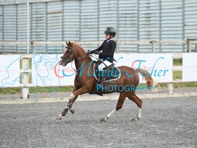 MFP_0334