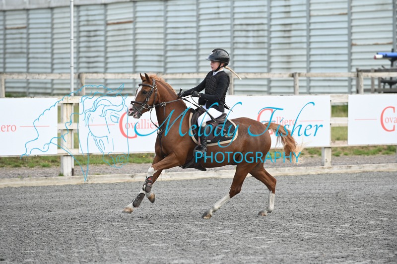 MFP_0334