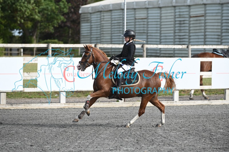 MFP_0381