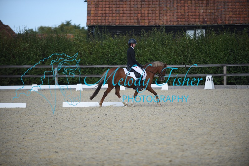 DSC_5293