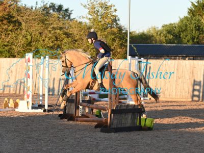 MFP_1185