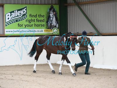 MFP_4163