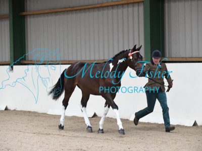 MFP_4164