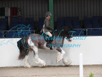 MFP_4339