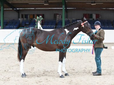 MFP_4229