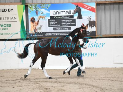 MFP_4178