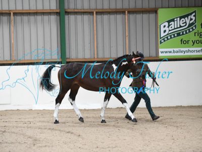 MFP_4179