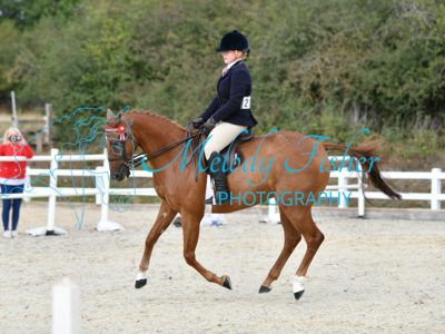 ORP_1244
